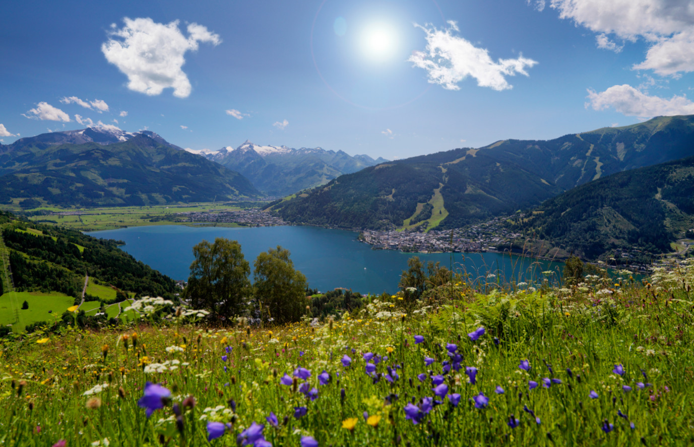 Alpenparks Zentrale